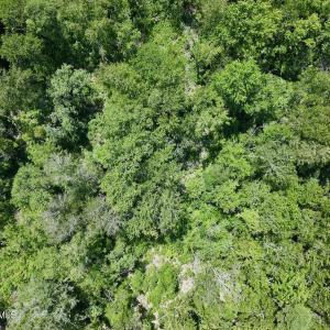 Photo #18 of 29 Guinea Mill, Ernul, NC 35.7 acres