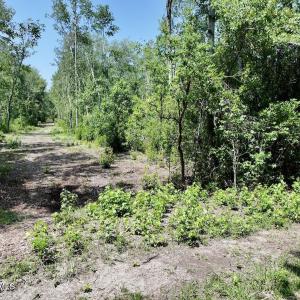 Photo #23 of 29 Guinea Mill, Ernul, NC 35.7 acres