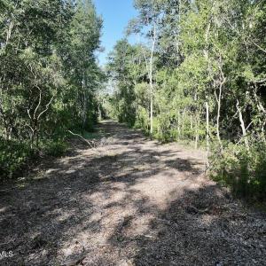 Photo #9 of 29 Guinea Mill, Ernul, NC 35.7 acres