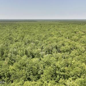 Photo #16 of 29 Guinea Mill, Ernul, NC 35.7 acres
