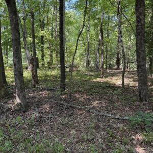 Photo #1 of 153 Omaha, Louisburg, NC 0.1 acres