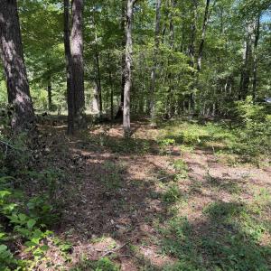 Photo #3 of 153 Omaha, Louisburg, NC 0.1 acres