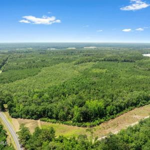 Photo #3 of Na Burney, White Oak, NC 66.3 acres
