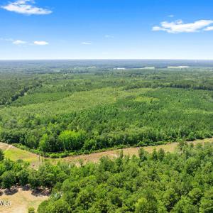 Photo #4 of Na Burney, White Oak, NC 66.3 acres