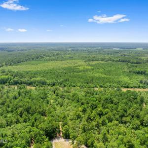 Photo #5 of Na Burney, White Oak, NC 66.3 acres