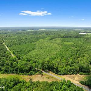 Photo #2 of Na Burney, White Oak, NC 66.3 acres