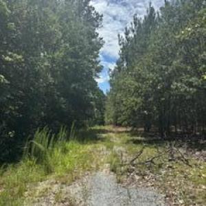 Photo #1 of Tbd Boling, Southern Pines, NC 60.0 acres