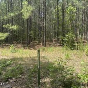 Photo #2 of Tbd Boling, Southern Pines, NC 60.0 acres