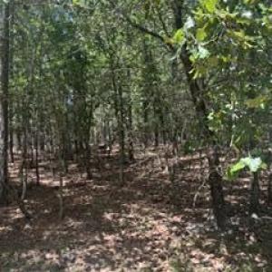 Photo #4 of Tbd Boling, Southern Pines, NC 60.0 acres