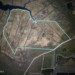 Photo #1 of 2107 Lowland, Hobucken, NC 240.0 acres