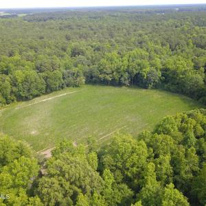 Photo #5 of 1817 Off S/, Chinquapin, NC 52.2 acres