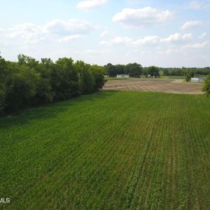 Photo #8 of 1817 Off S/, Chinquapin, NC 52.2 acres