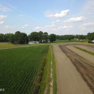 Photo #3 of 1817 Off S/, Chinquapin, NC 52.2 acres