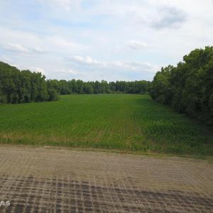 Photo #2 of 1817 Off S/, Chinquapin, NC 52.2 acres
