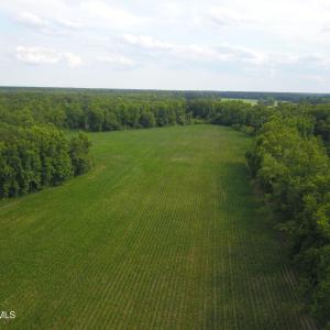 Photo #4 of 1817 Off S/, Chinquapin, NC 52.2 acres