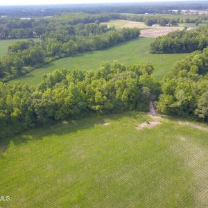 Photo #6 of 1817 Off S/, Chinquapin, NC 52.2 acres
