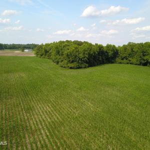 Photo #7 of 1817 Off S/, Chinquapin, NC 52.2 acres