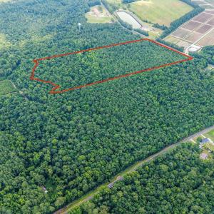 Photo #6 of 28ac Maple Hill School, Maple Hill, NC 28.0 acres