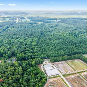Photo #9 of 28ac Maple Hill School, Maple Hill, NC 28.0 acres