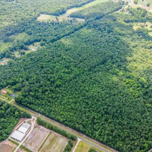 Photo #11 of 28ac Maple Hill School, Maple Hill, NC 28.0 acres