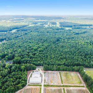 Photo #10 of 28ac Maple Hill School, Maple Hill, NC 28.0 acres