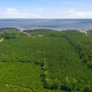 Photo #1 of Upper Neck, Bayboro, NC 100.0 acres