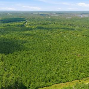 Photo #5 of Upper Neck, Bayboro, NC 100.0 acres