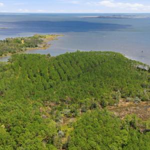 Photo #2 of Upper Neck, Bayboro, NC 100.0 acres