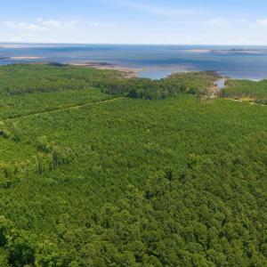 Photo #4 of Upper Neck, Bayboro, NC 100.0 acres
