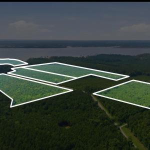 Photo #6 of Upper Neck, Bayboro, NC 100.0 acres