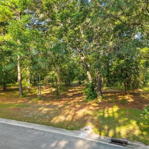 Photo #3 of 348 River Ridge, Wallace, NC 0.7 acres