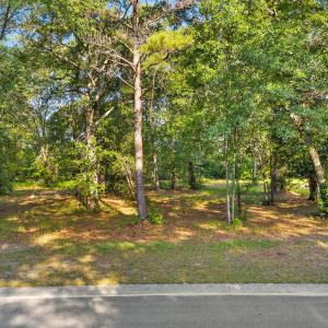 Photo #2 of 348 River Ridge, Wallace, NC 0.7 acres