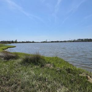 Photo #9 of 213 Hwy 70 Otway, Beaufort, NC 14.6 acres