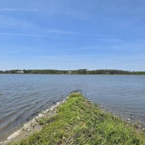 Photo #7 of 213 Hwy 70 Otway, Beaufort, NC 14.6 acres