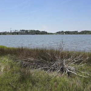 Photo #6 of 213 Hwy 70 Otway, Beaufort, NC 14.6 acres