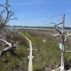 Photo #13 of 213 Hwy 70 Otway, Beaufort, NC 14.6 acres