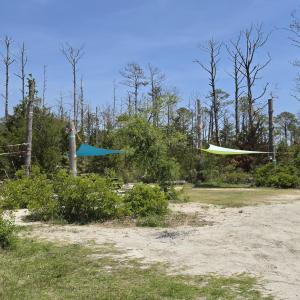 Photo #2 of 213 Hwy 70 Otway, Beaufort, NC 14.6 acres