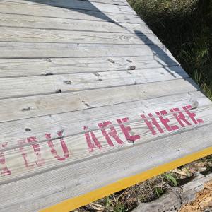 Photo #19 of 213 Hwy 70 Otway, Beaufort, NC 14.6 acres