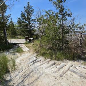 Photo #11 of 213 Hwy 70 Otway, Beaufort, NC 14.6 acres