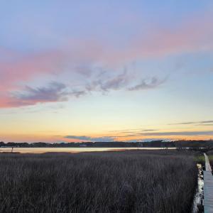 Photo #30 of 213 Hwy 70 Otway, Beaufort, NC 14.6 acres