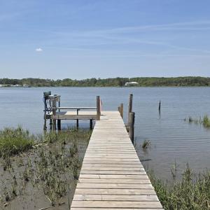 Photo #22 of 213 Hwy 70 Otway, Beaufort, NC 14.6 acres