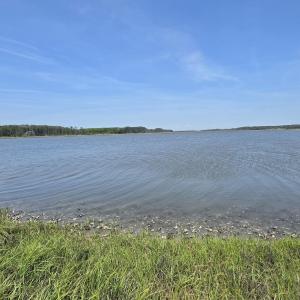 Photo #8 of 213 Hwy 70 Otway, Beaufort, NC 14.6 acres