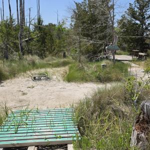 Photo #10 of 213 Hwy 70 Otway, Beaufort, NC 14.6 acres