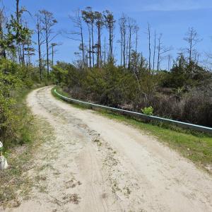 Photo #25 of 213 Hwy 70 Otway, Beaufort, NC 14.6 acres