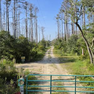 Photo #27 of 213 Hwy 70 Otway, Beaufort, NC 14.6 acres