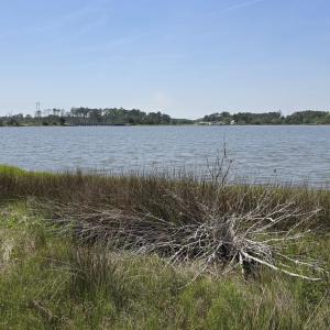 Photo #6 of 213 Hwy 70 Otway, Beaufort, NC 14.6 acres