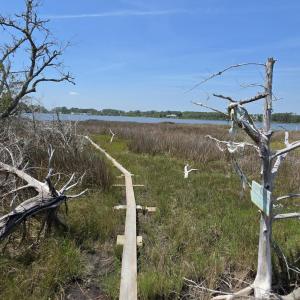 Photo #13 of 213 Hwy 70 Otway, Beaufort, NC 14.6 acres
