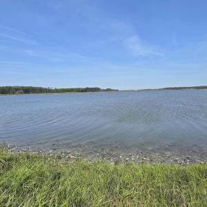 Photo #8 of 213 Hwy 70 Otway, Beaufort, NC 14.6 acres