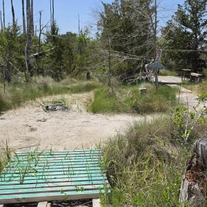 Photo #10 of 213 Hwy 70 Otway, Beaufort, NC 14.6 acres