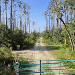 Photo #27 of 213 Hwy 70 Otway, Beaufort, NC 14.6 acres